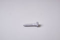 Coach Screw 10x40