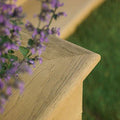 Bullnose Board