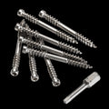 Millboard-screw.jpg